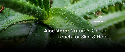 Aloe Vera: Nature’s Green Touch for Skin & Hair