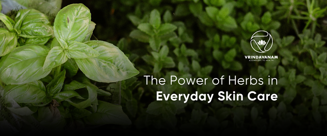 The Power of Herbs in Everyday Skin Care